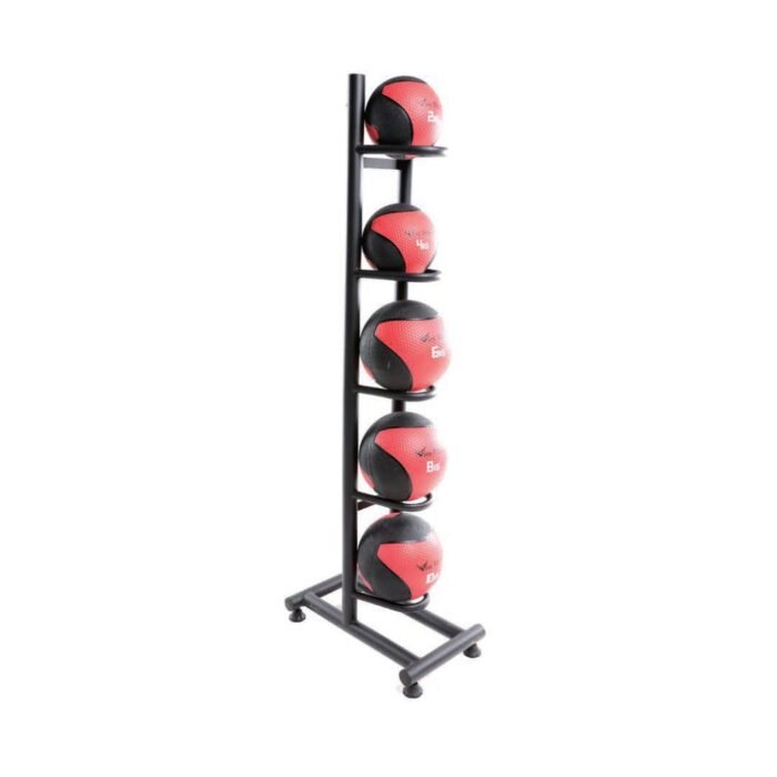 Swiss Ball Set with Stand
