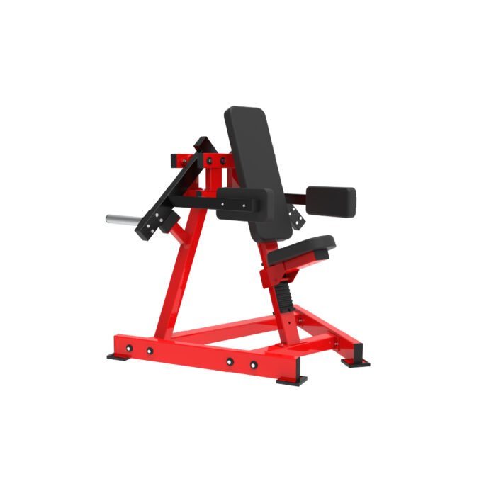 Lateral Raise