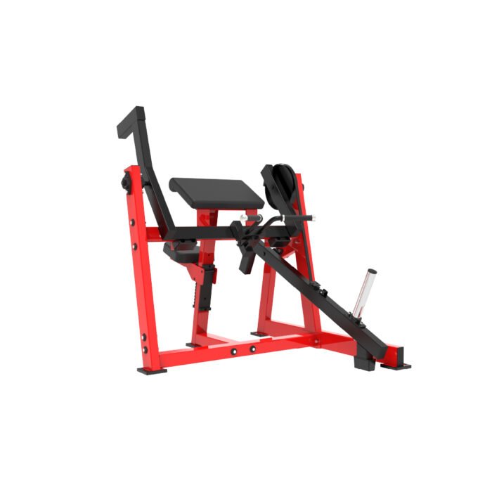 Bicep Curl