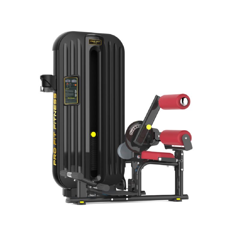Back + Abdominal Dual