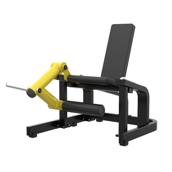 Leg Extension