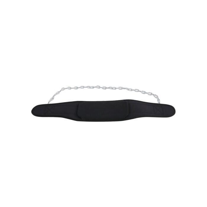 Weight Lifting Belt