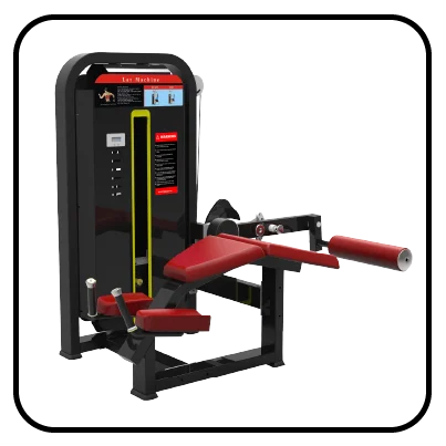 Affordable Gym Equipment Supplier in India 25 Rock Series e1729854940445